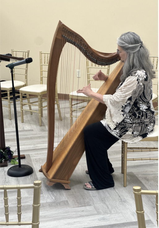 A harpist performing at a Care Solutions mindfulness session